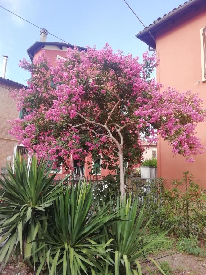 Grigio Perla Panigale, Villetta Con Giardino E Parcheggio Privato Fino A Tre Posti Auto - Un Oasi Di Tranqullita Bologna Ngoại thất bức ảnh